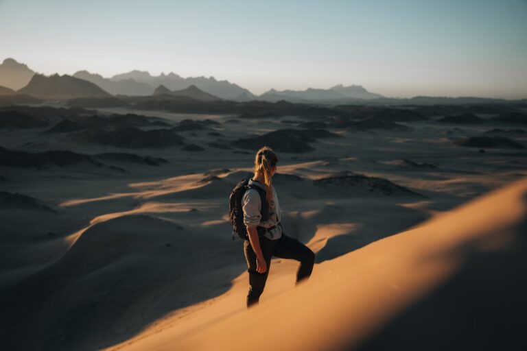 Top Hiking Gear for Every Adventurer on Trailblazer Gears