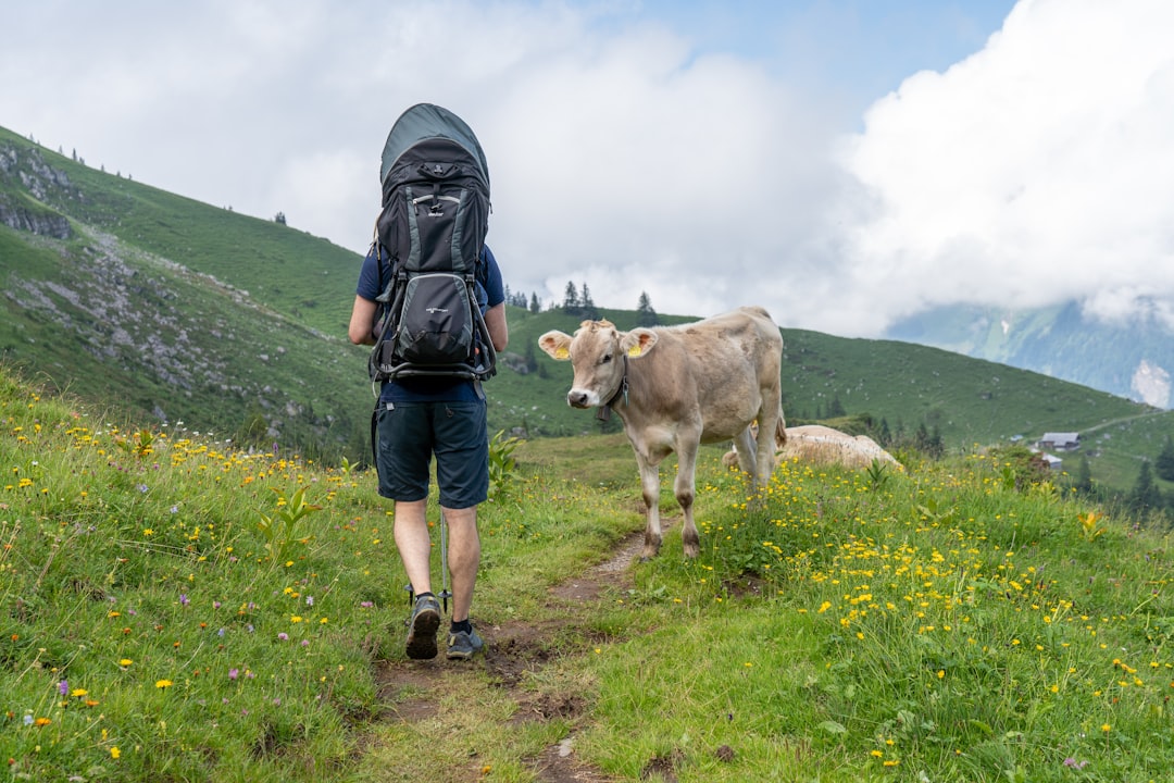 Unleash Your Inner Explorer with Our Premium Hiking Gear Selection Unleash Your Inner Explorer with Our Premium Hiking Gear Selection